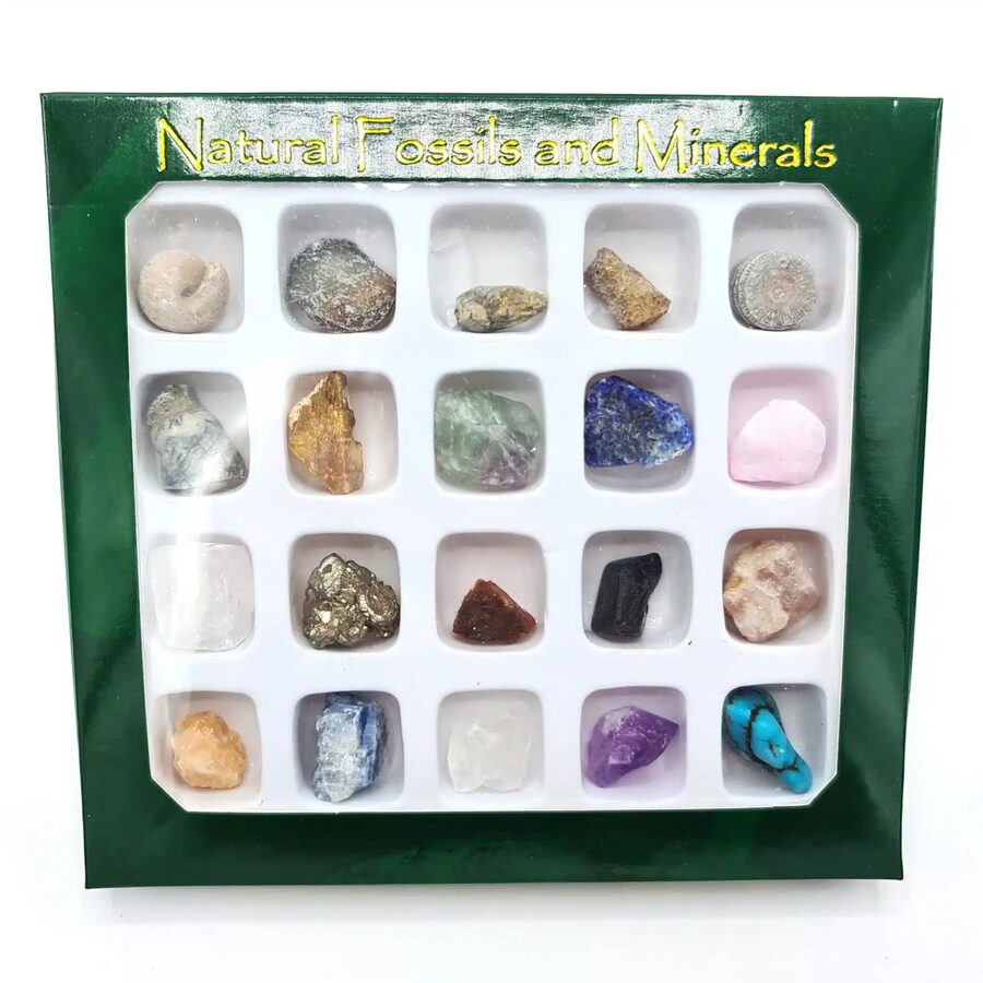 Æske med 20 fossiler og mineraler