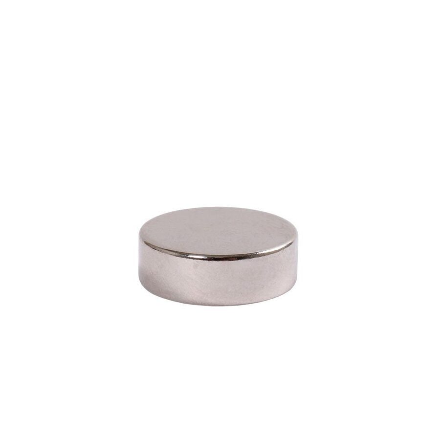 Neodymmagneter (10 stk.)